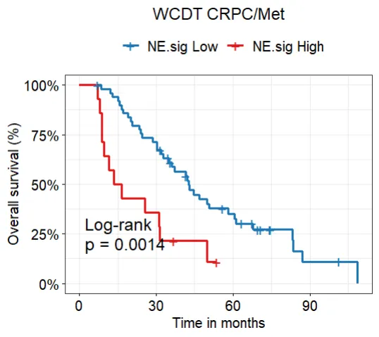 image-20230104134101102